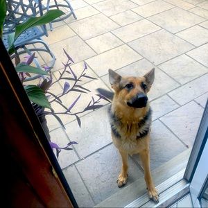 Meet your Posher, Adam